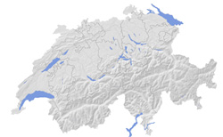 Switzerland relief and contour map.